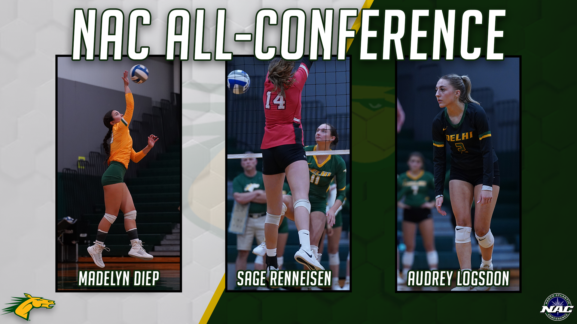2024 Women's Volleyball All-Conference Awards