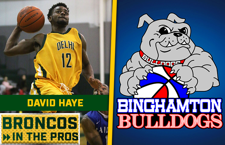 Former Bronco David Haye Signs with ABA's Binghamton Bulldogs