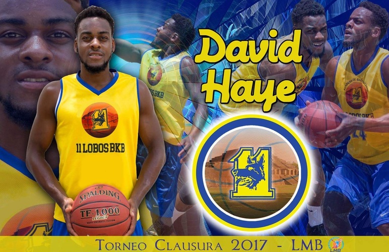 David Haye Signs to Play Professionally in El Salvador