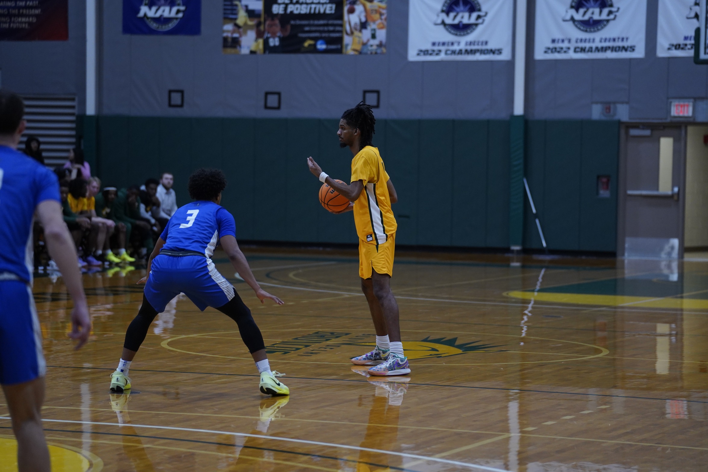 Men's Basketball Falls In Away Matchup To Brockport