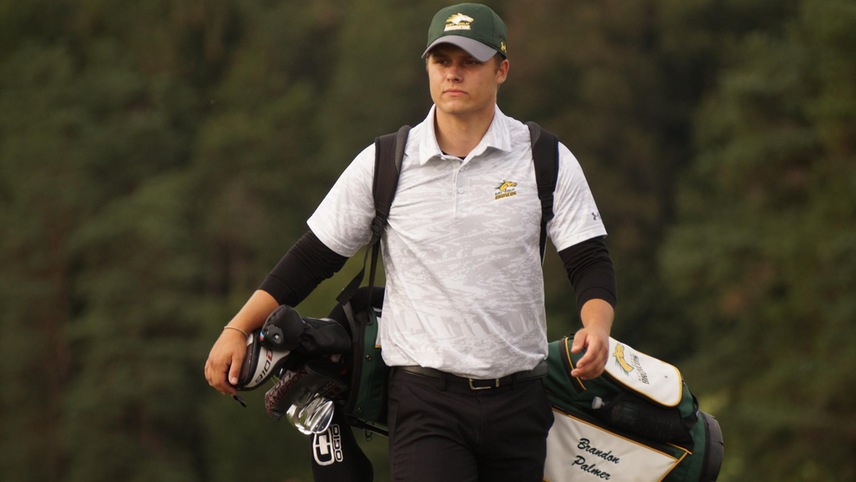 golfer with clubs