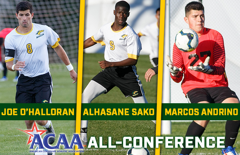 O'Halloran, Sako, Andrino Voted All-ACAA