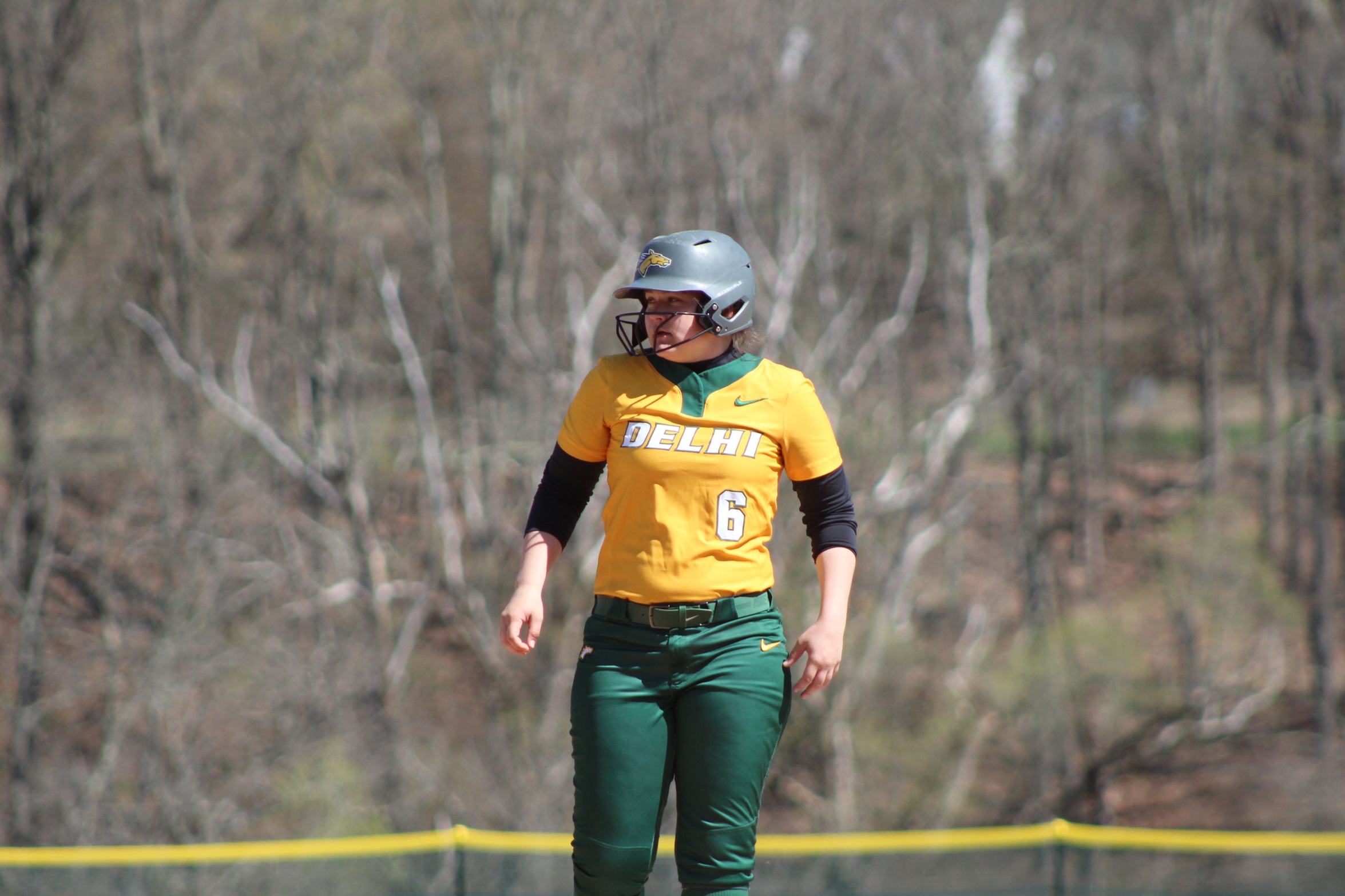Softball Falls to Potsdam in Doubleheader Action