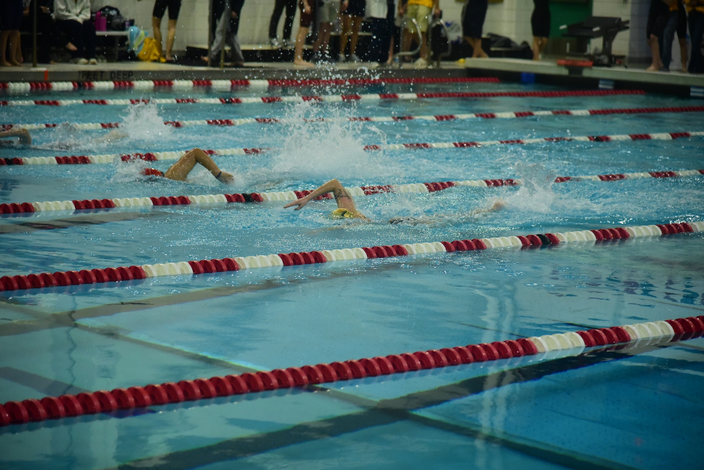 Broncos Compete in 2026 SUNYAC Men's and Women's Swimming & Diving Championships (UPDATED 2/19)