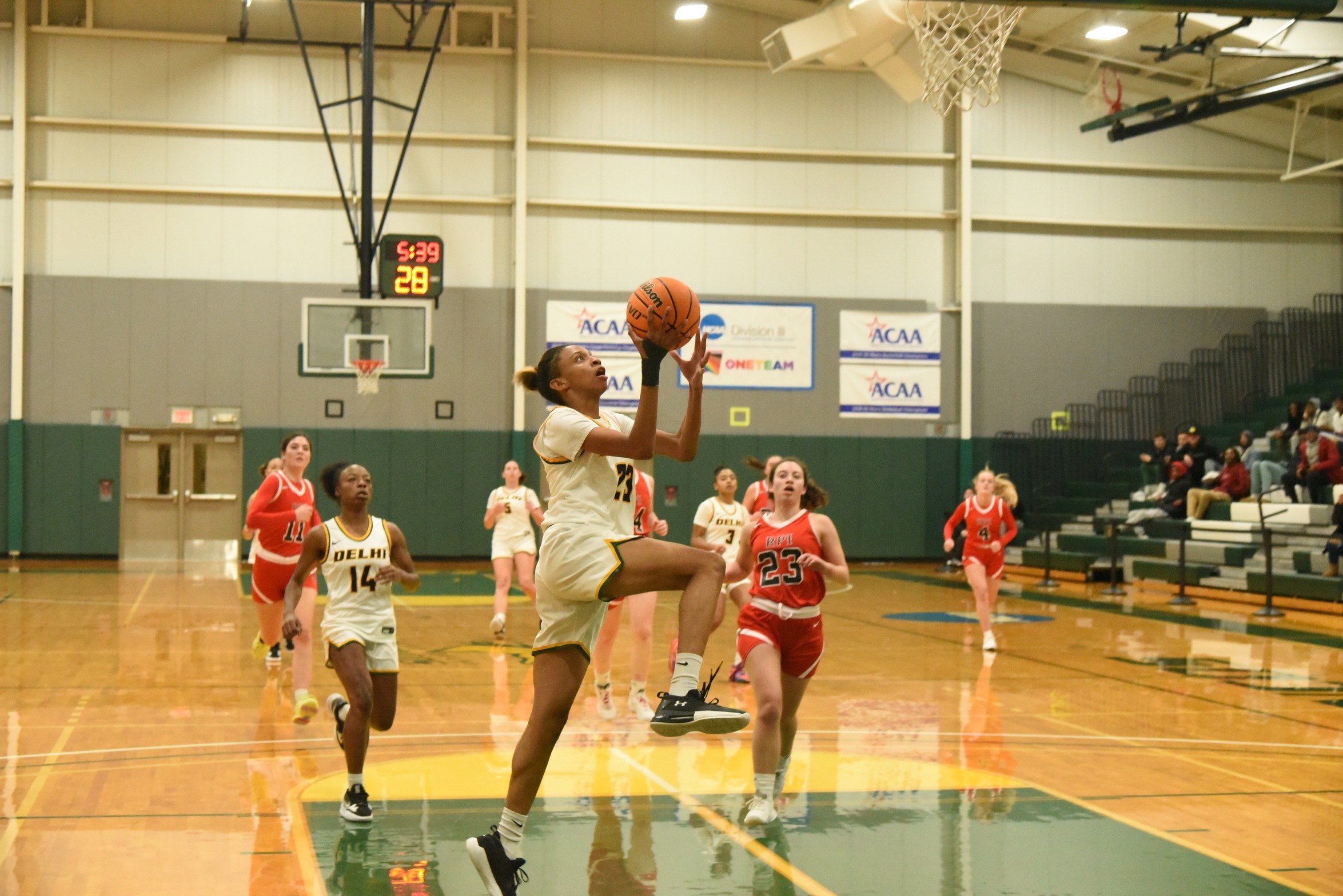 Women's Basketballs falls to NVU-Johnson 54-45 on the Road