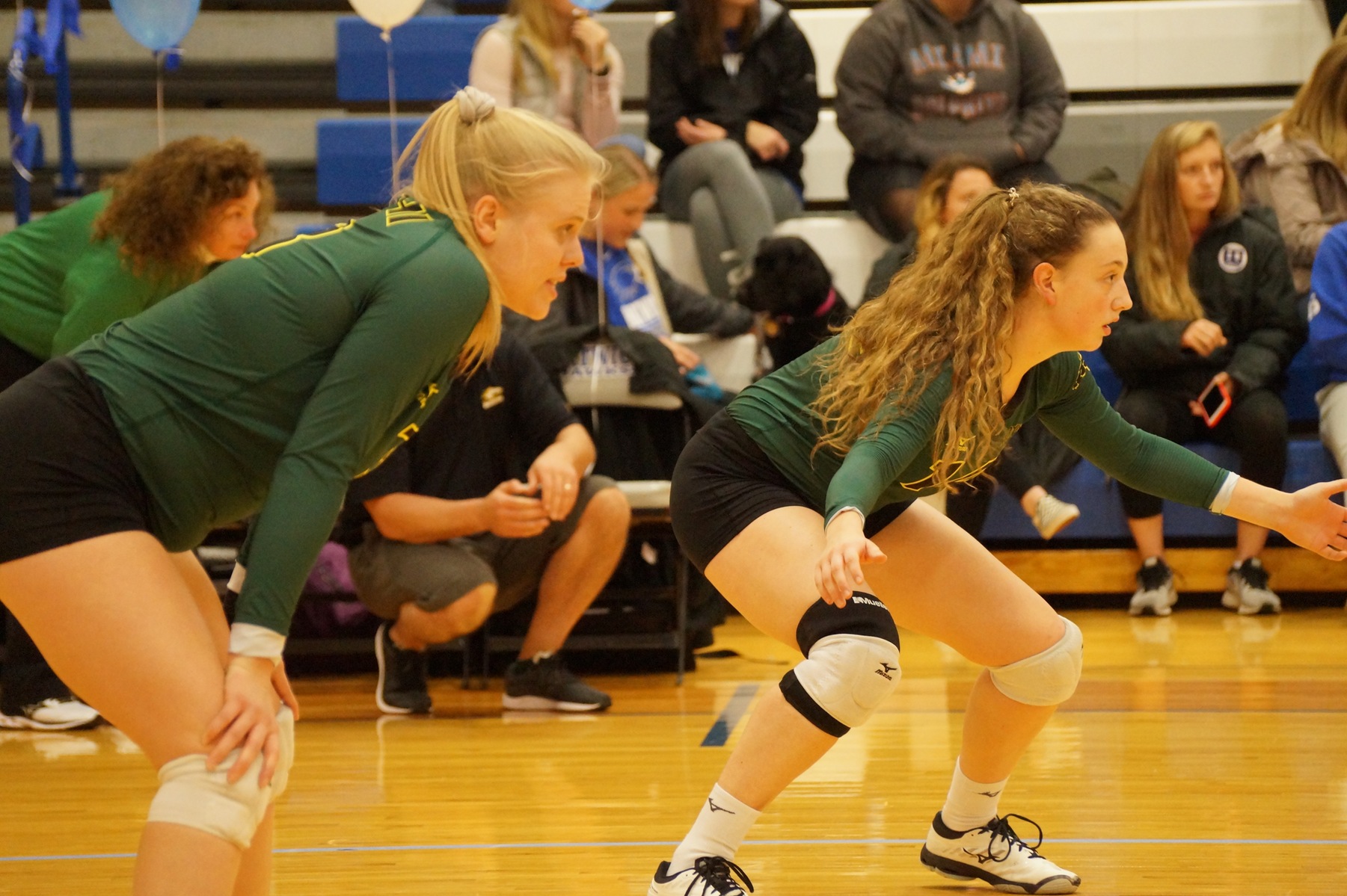 Tsatsis Charts Seven Kills, Eight Digs as Delhi Falls at Hartwick in Three