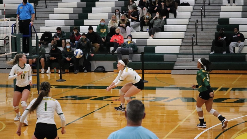 volleyball players