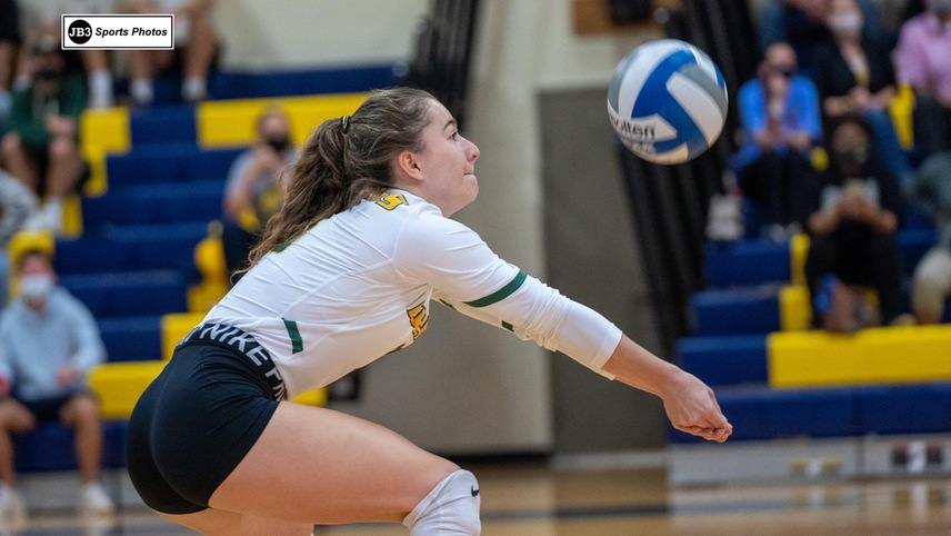 volleyball player