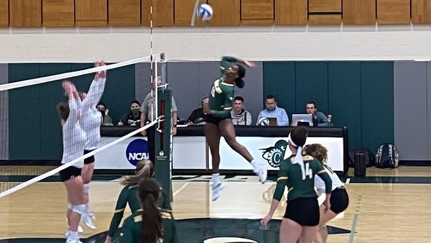 volleyball players