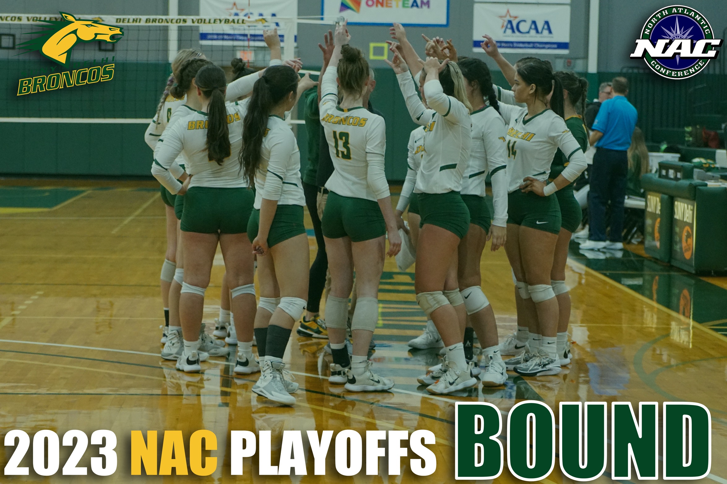 Delhi Volleyball 2023 NAC Playoff Preview