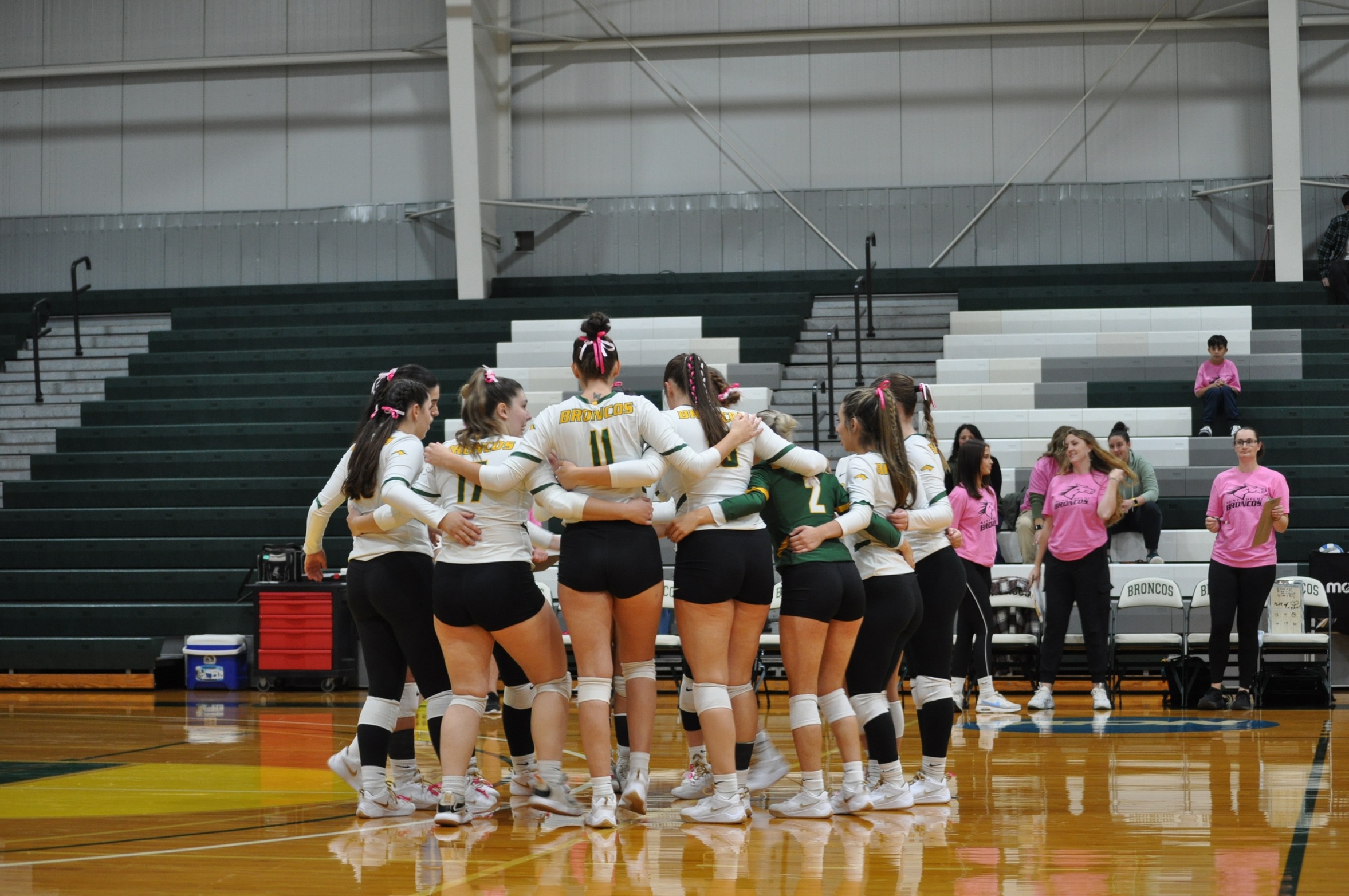Women's Volleyball Drops Non-Conference Match To Bard