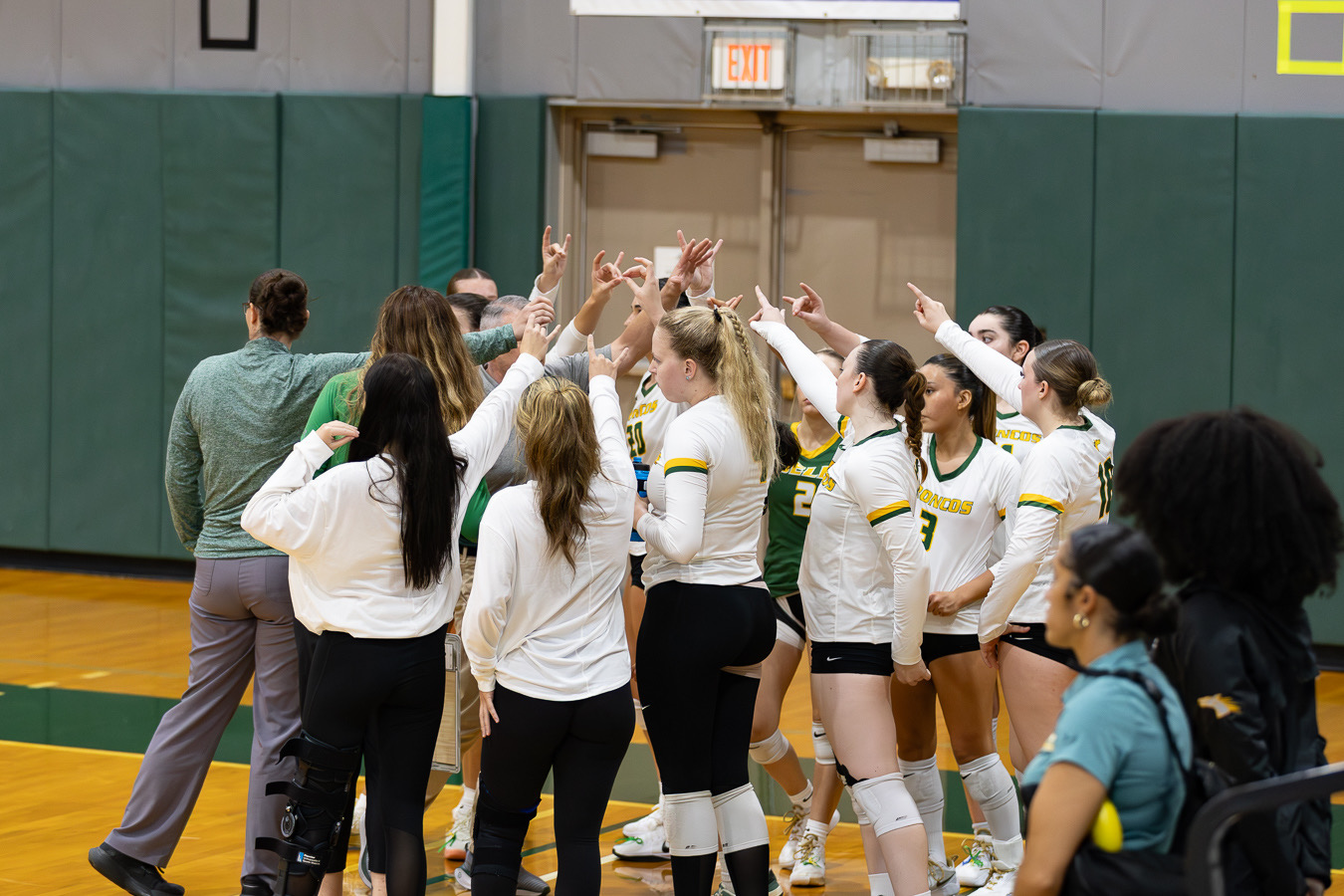 Women's Volleyball Fight to the End at Home