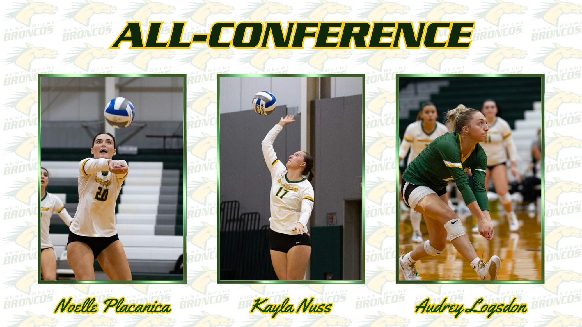3rd Annual Alumni Volleyball Event & Reception